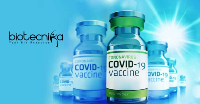 CoronaVac Chinese COVID-19 vaccine