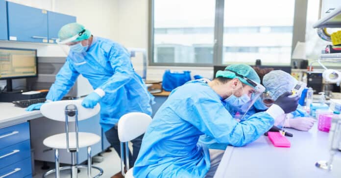 Bayer Hiring Biology Candidates - Quality Analyst Post - Apply